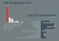 MFRR_report_08-20Context and type of actor